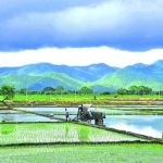 Government Ensures Seed and Fertilizer Availability for Kharif