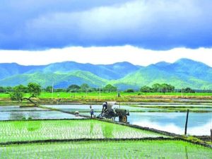 Government Ensures Seed and Fertilizer Availability for Kharif