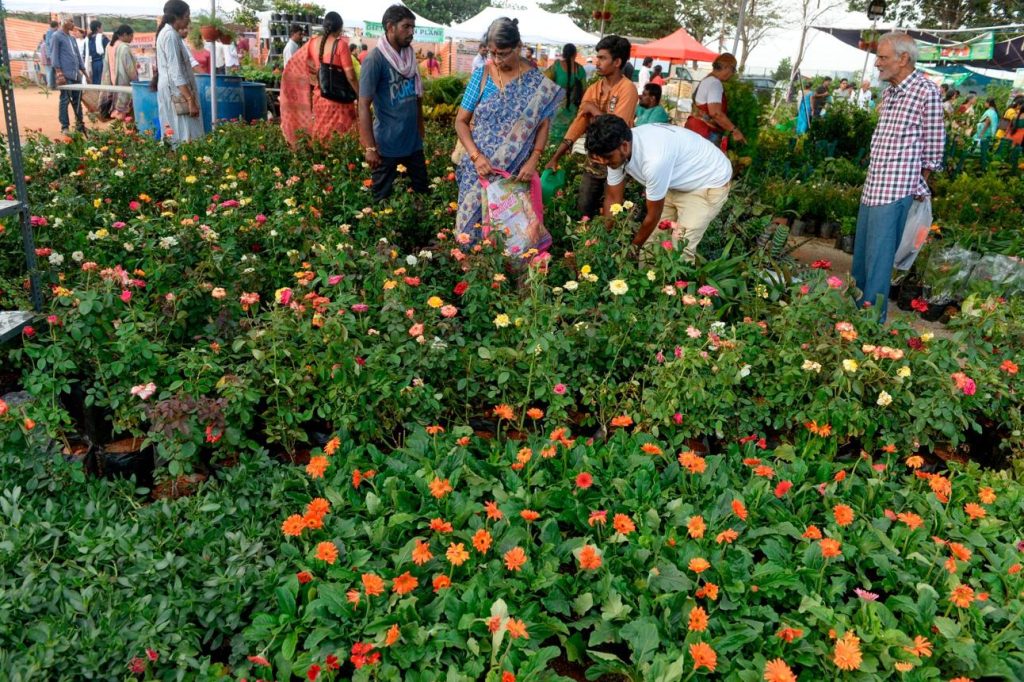 Demand for Horticulture Crops Continues to Grow