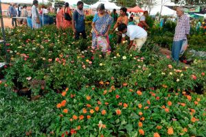 Demand for Horticulture Crops Continues to Grow