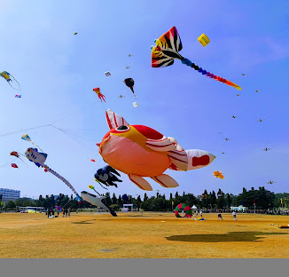 🪁 Sankranti Kite Festival